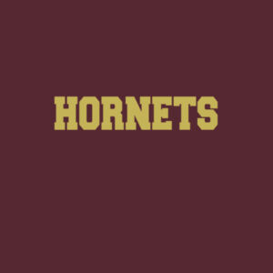 Hornets - Adult LS Fan Favorite T Design
