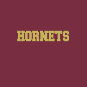 Hornets - Adult Fan Favorite T Design